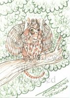 Armadillo Owl